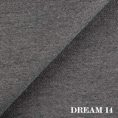 dream-14