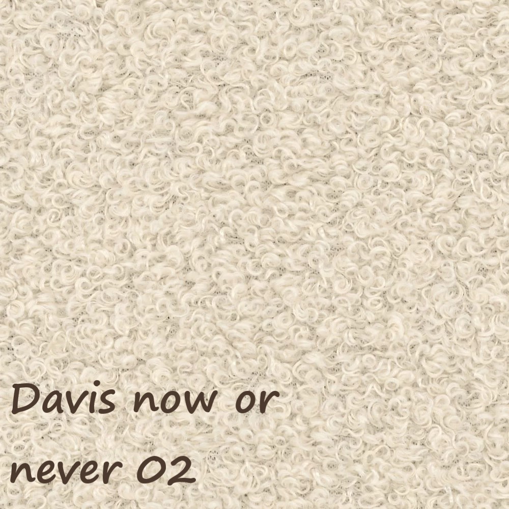 NOW OR NEVER 02
