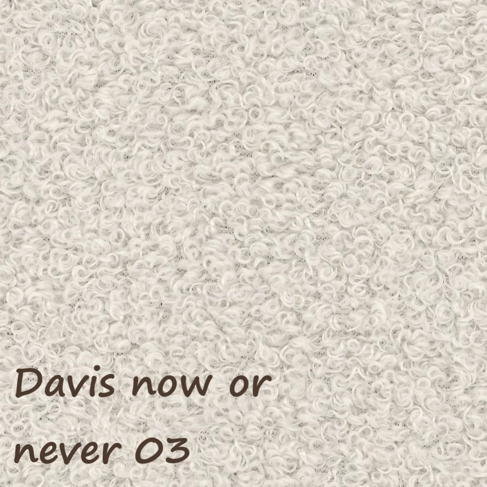 NOW OR NEVER 03