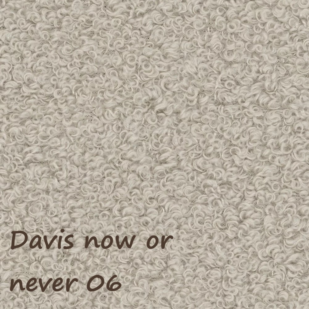 NOW OR NEVER 06