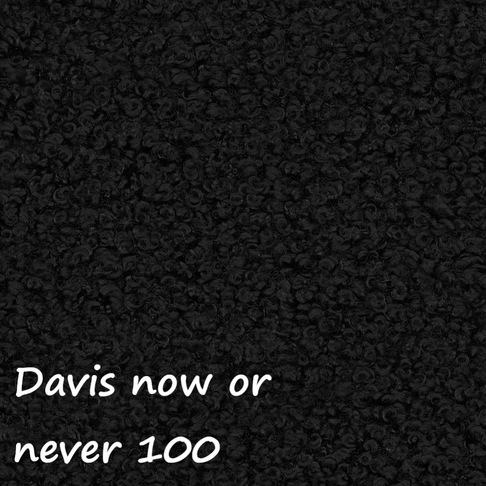 NOW OR NEVER 100