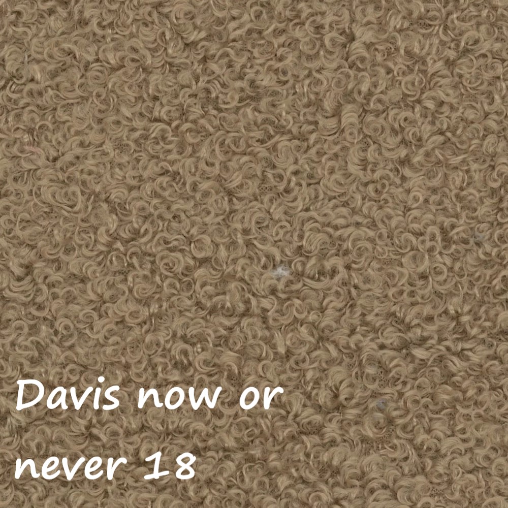 NOW OR NEVER 18