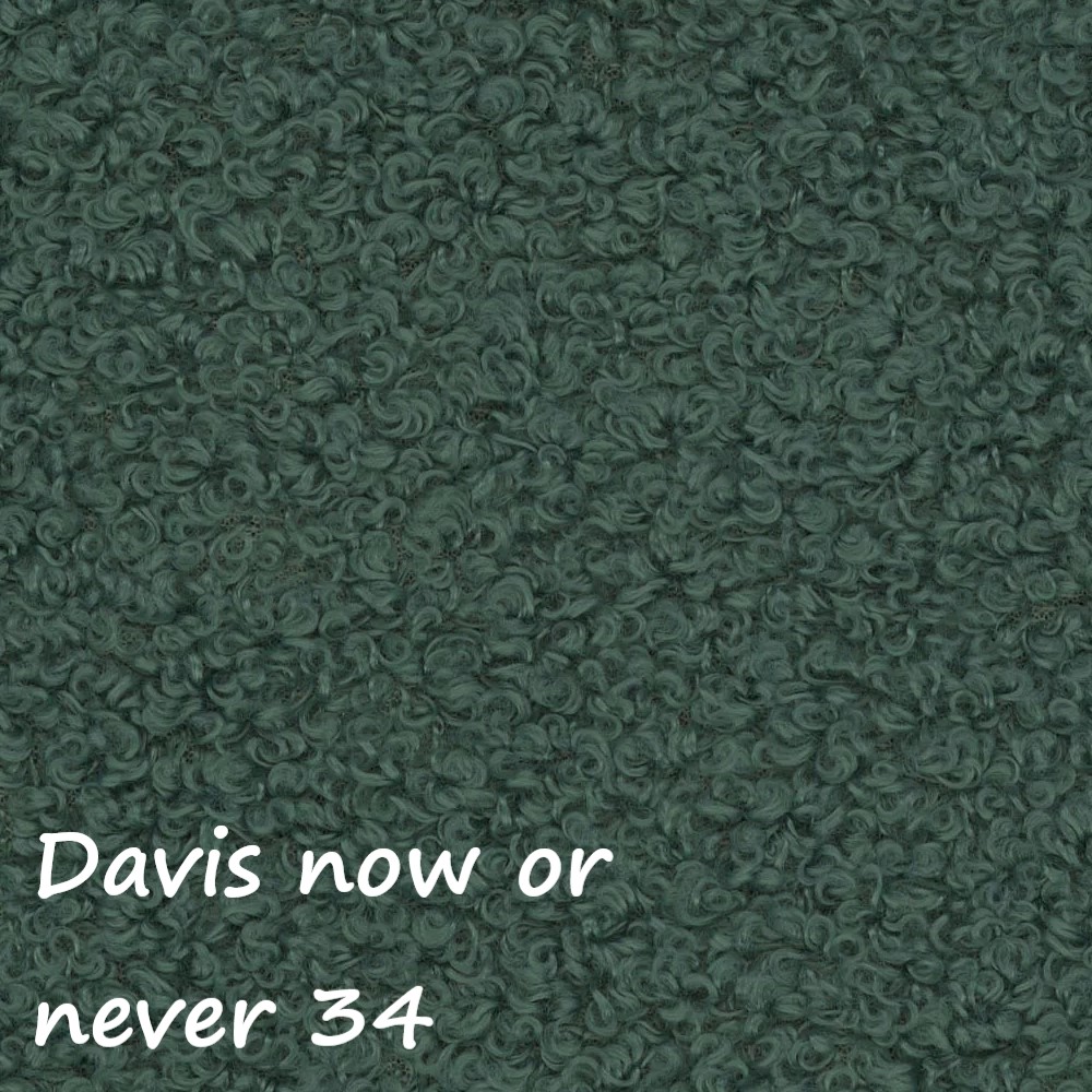 NOW OR NEVER 34