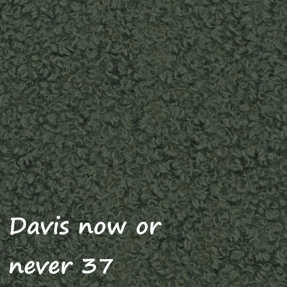 NOW OR NEVER 37