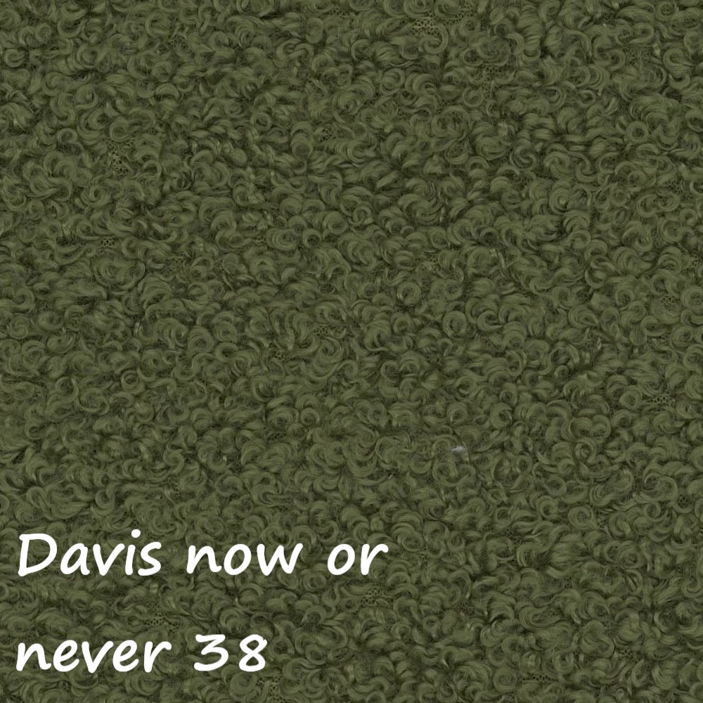 NOW OR NEVER 38
