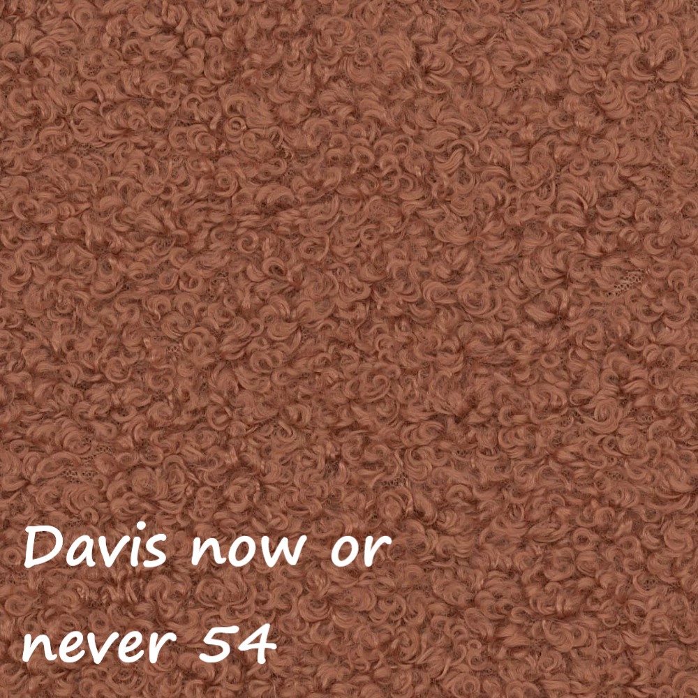NOW OR NEVER 54