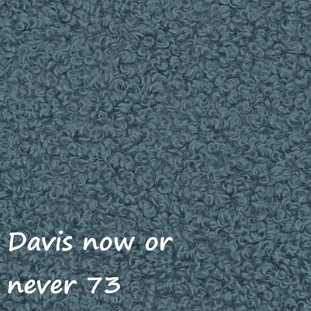 NOW OR NEVER 73