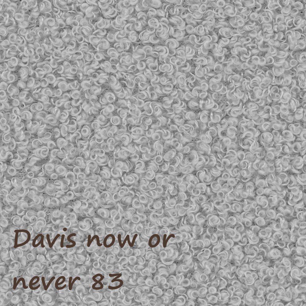 NOW OR NEVER 83